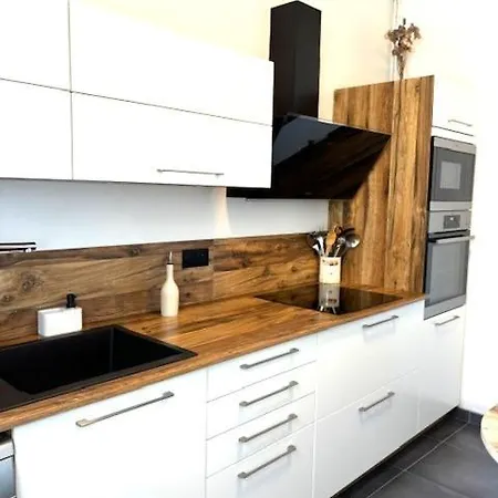 アパート Grand De Caractere A ヴィシー